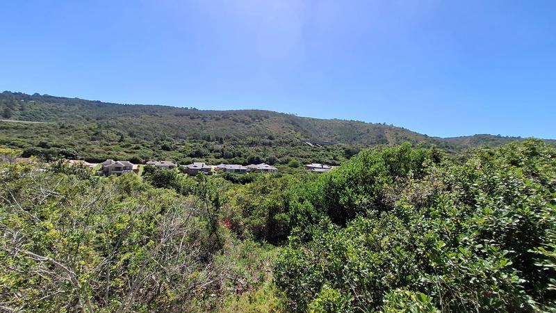 0 Bedroom Property for Sale in Groot Brakrivier Rural Western Cape